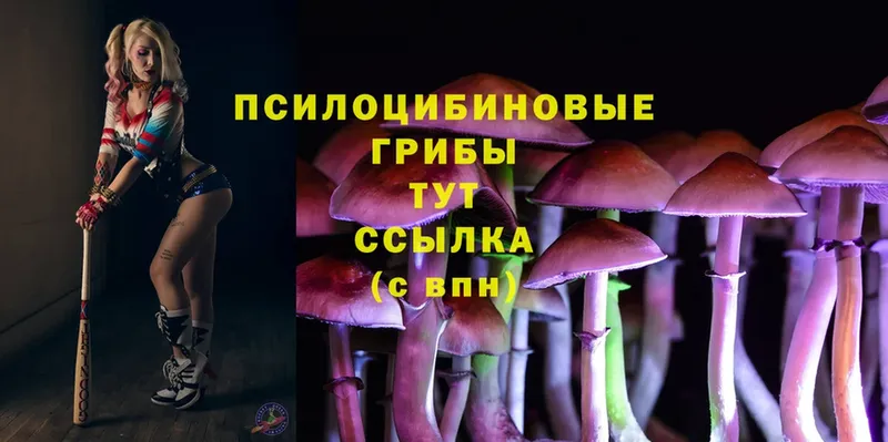 Псилоцибиновые грибы Cubensis  MEGA маркетплейс  Кызыл 